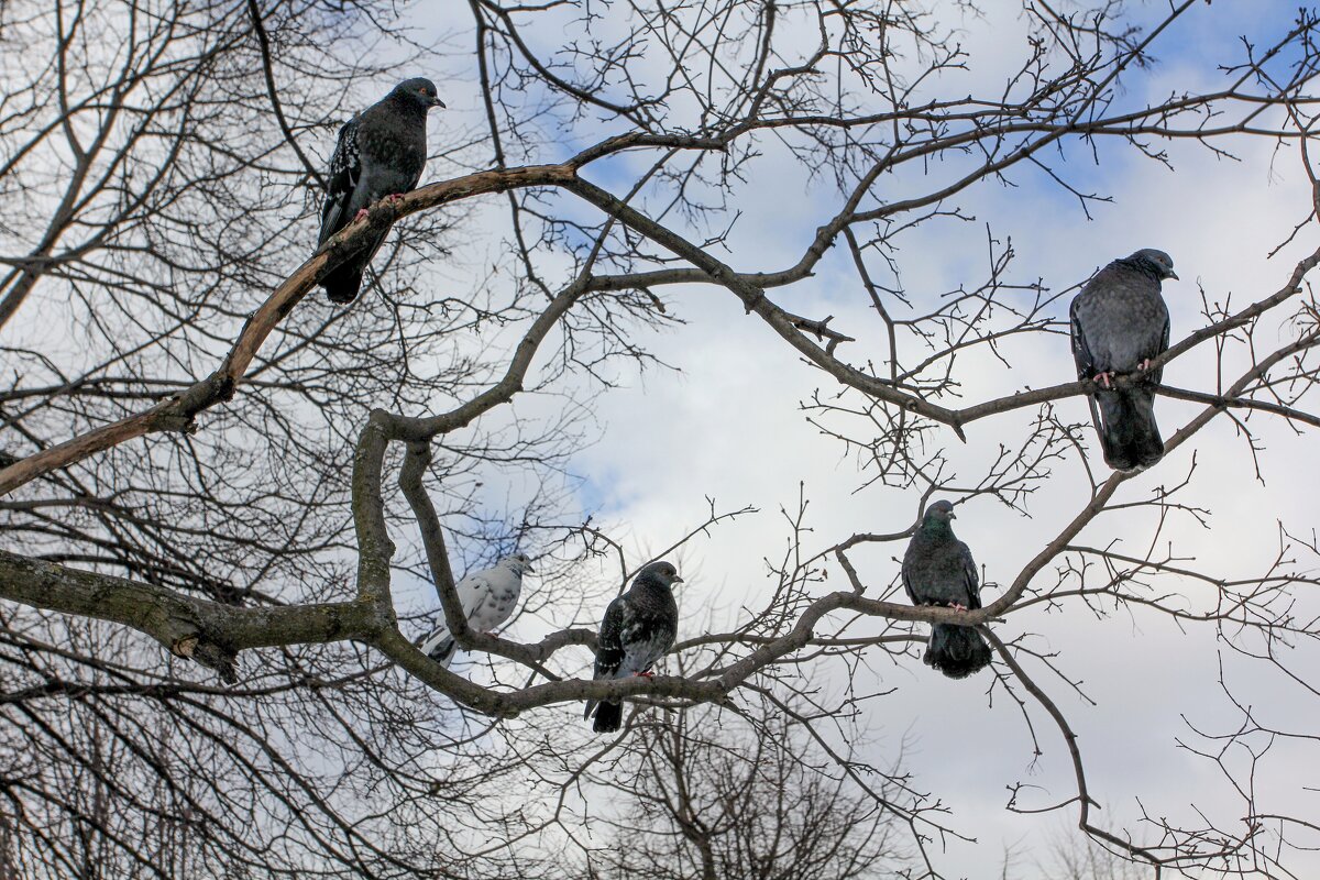 Посиделки - Олег 