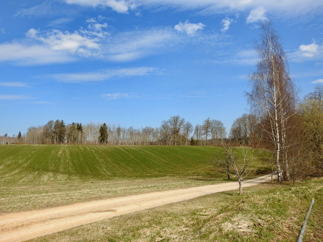 весенние зарисовки - ИННА ПОРОХОВА