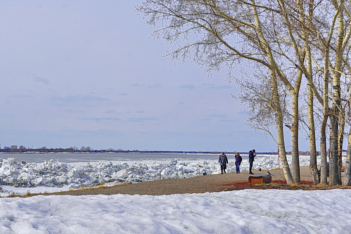 Картинки с набережной Томи во время ледохода - Галина Кан