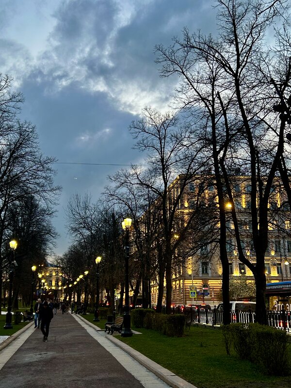 Петровский бульвар - Натали 