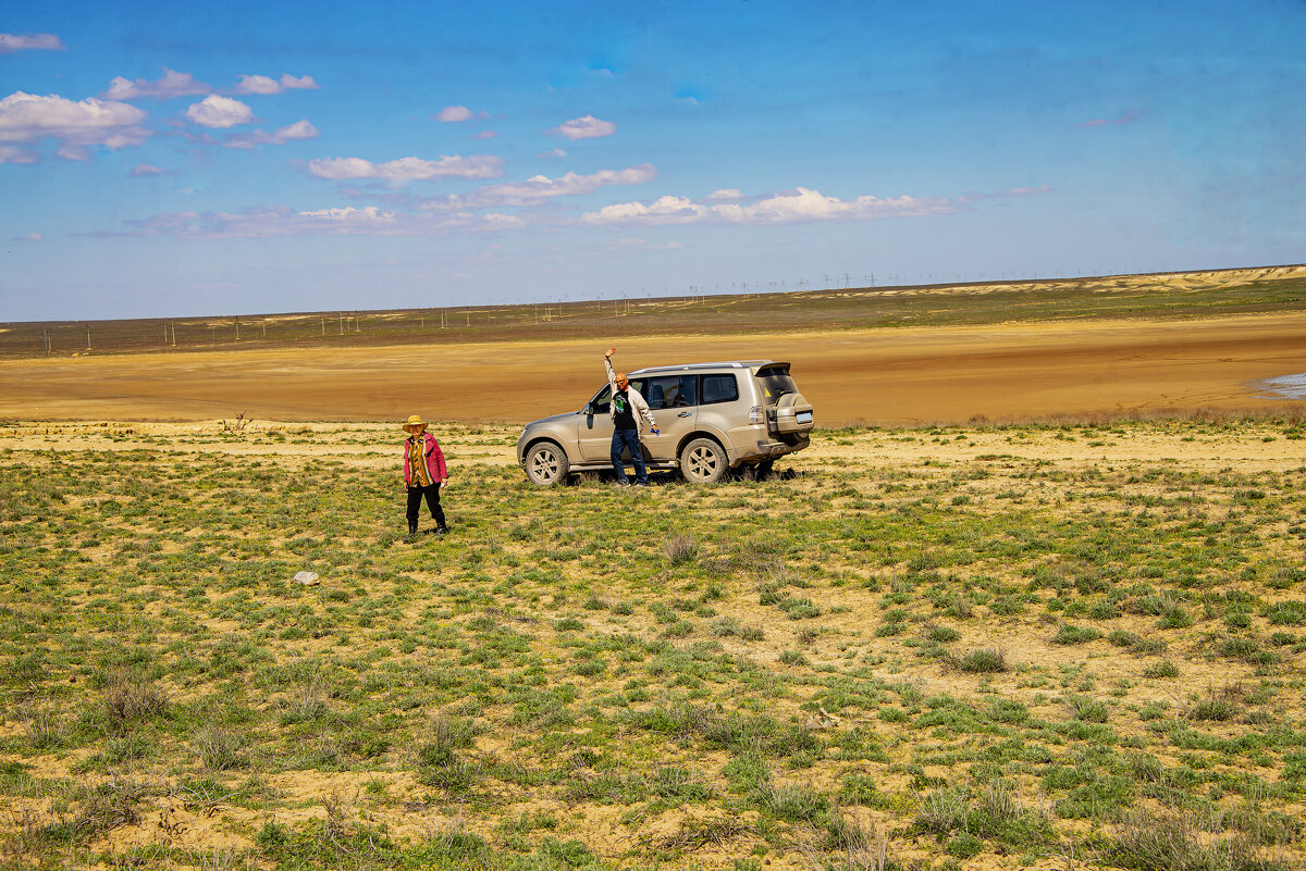 По грибы! - Анатолий Чикчирный