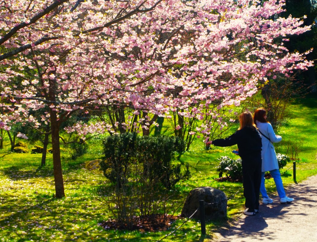 Наслаждение красотой.. - Aida10 