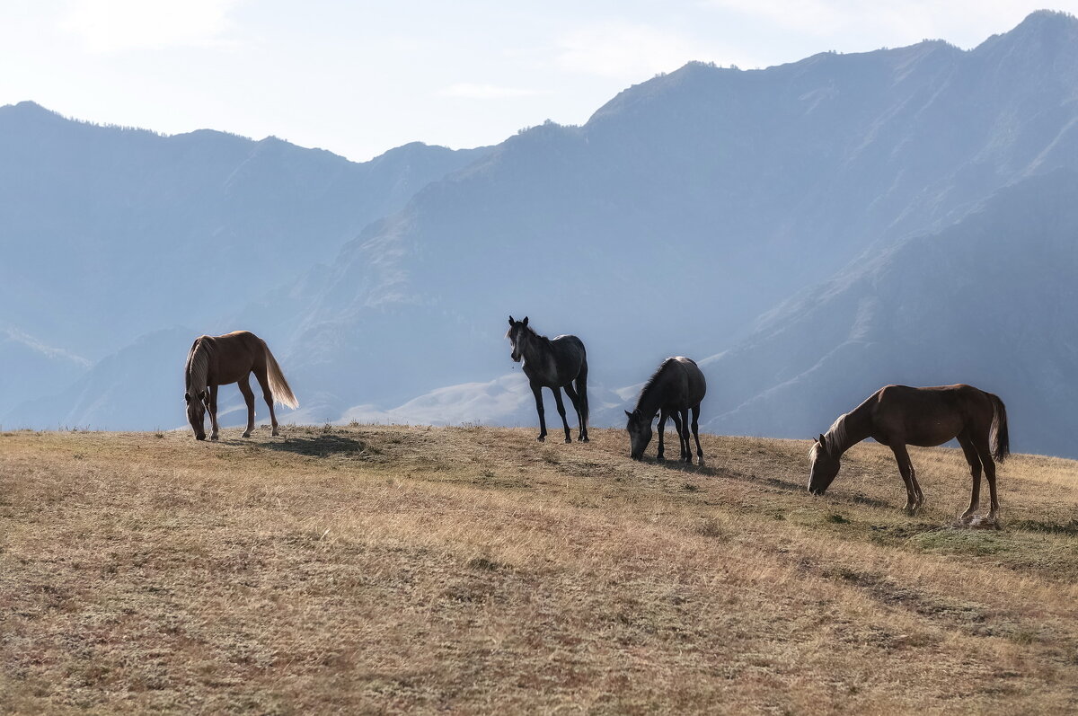 На горном склоне - Марина Фомина.