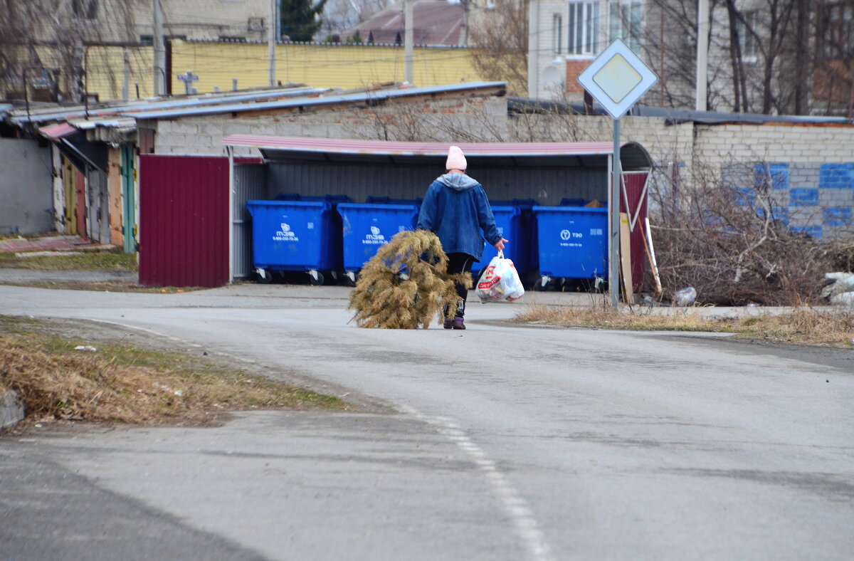 Уже пора выбрасывать ёлку? 18.04.2026. - Михаил К