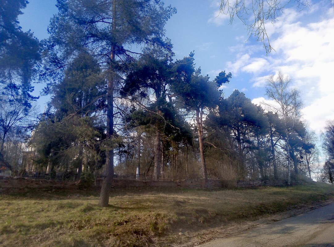 весенний день - Сергей Кочнев