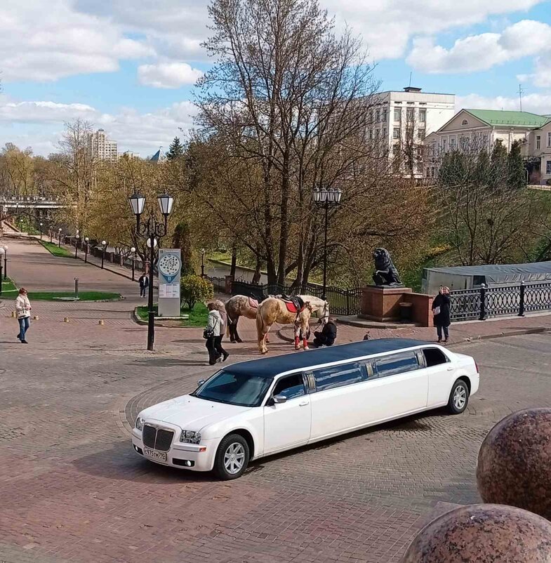 Транспорт на любой вкус) - Галина Бобкина