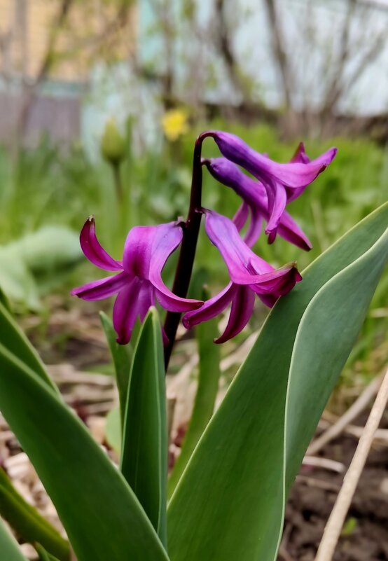 Не помёрзли... - Александр Кондаков