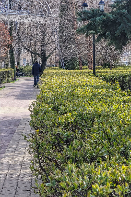 Первая листва - Татьяна Машошина