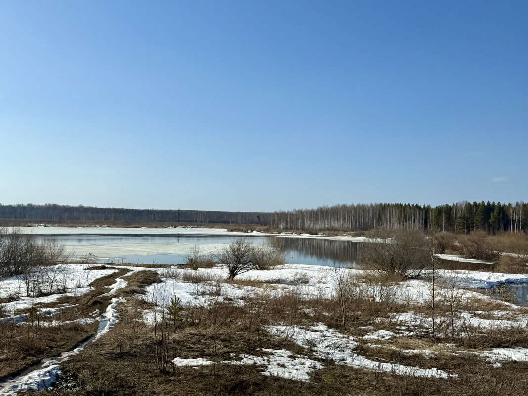 На просторах Родины… - Pippa 