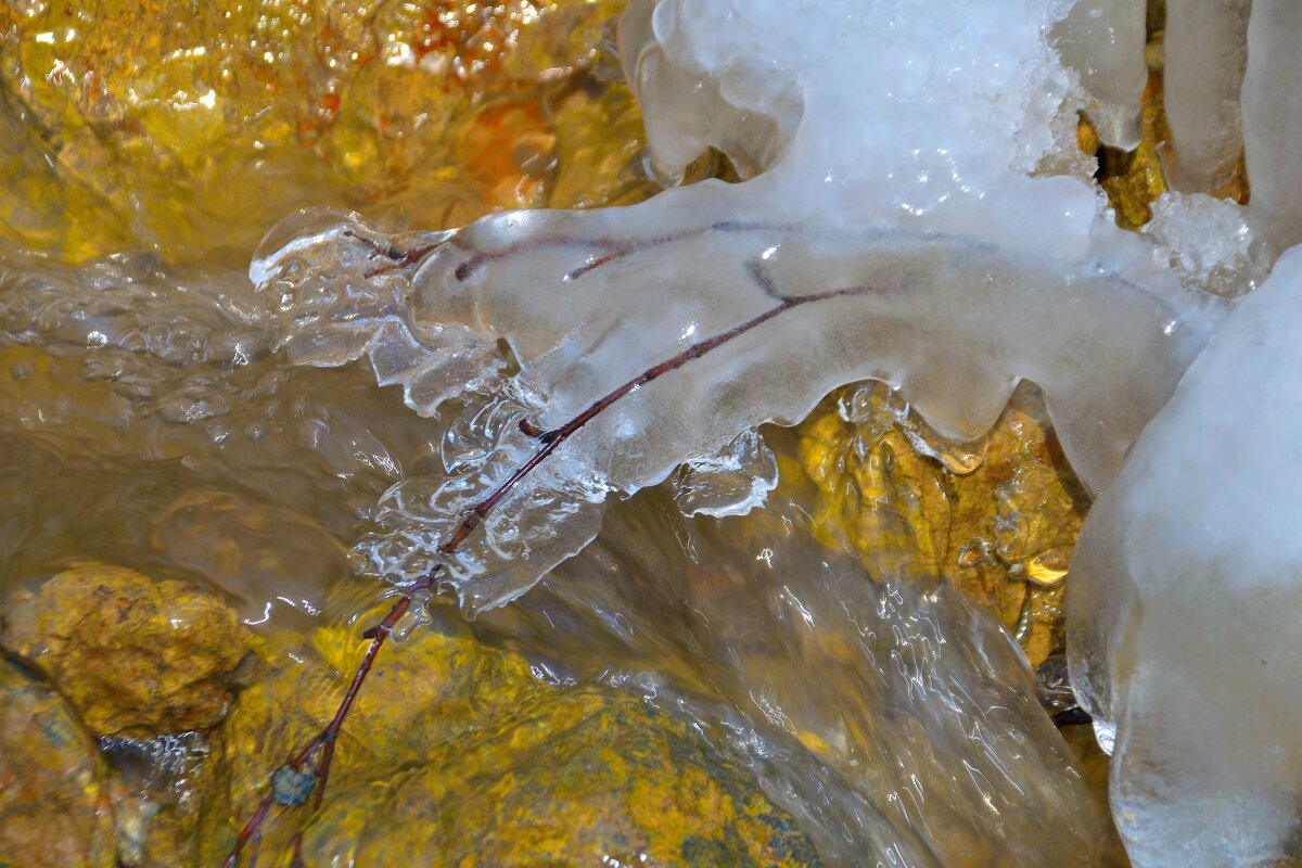 - - Владимир Мигонькин