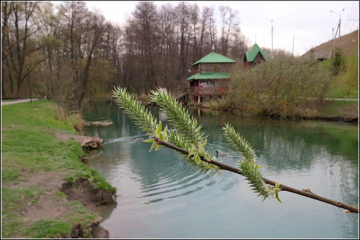 Ива - Сеня Белгородский