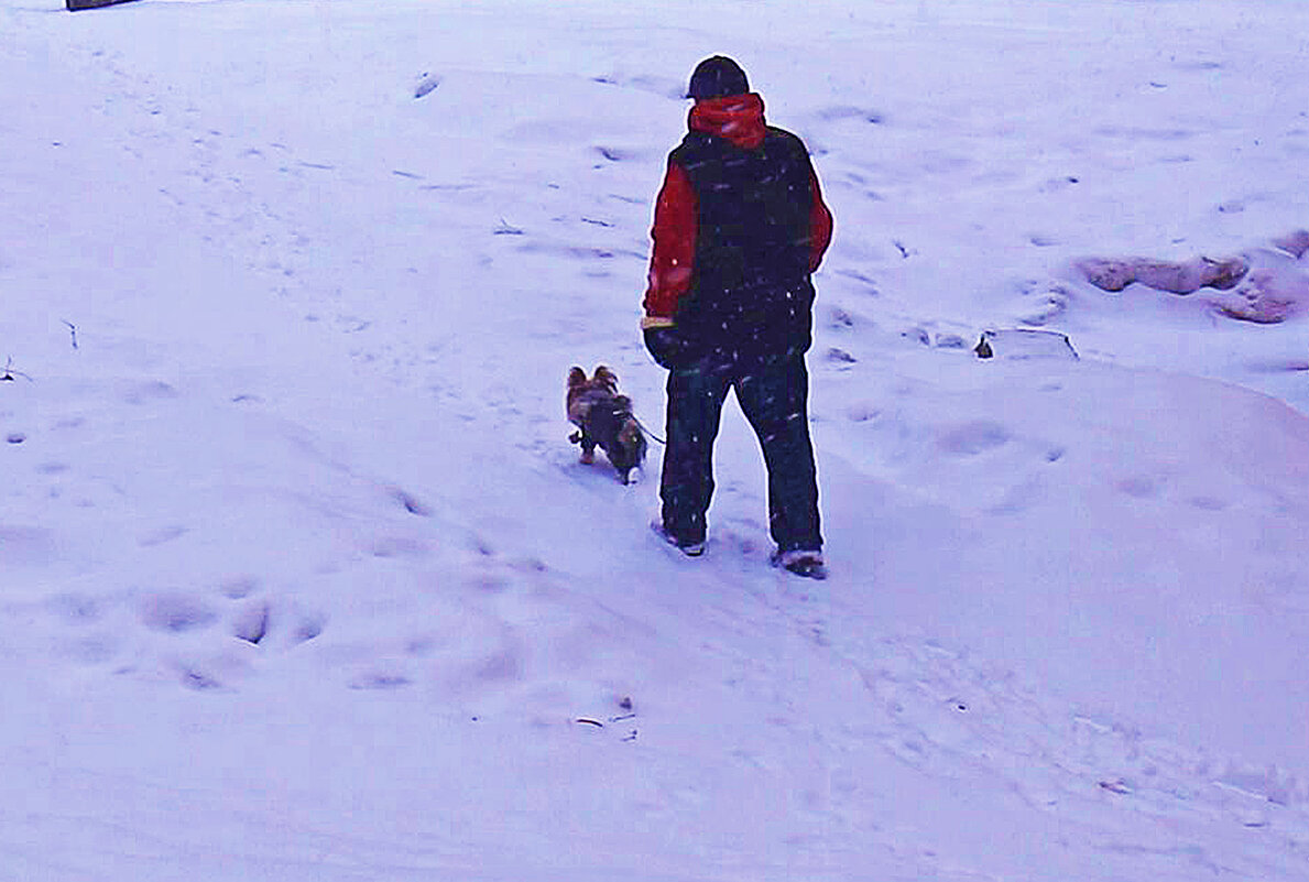 Апрель.....Утро снежное! - Владимир 