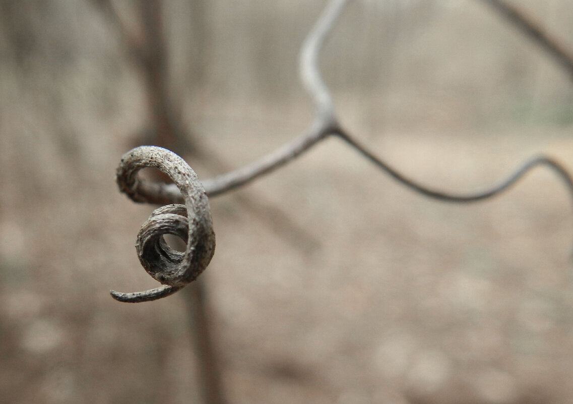 козюля ) - Лера 