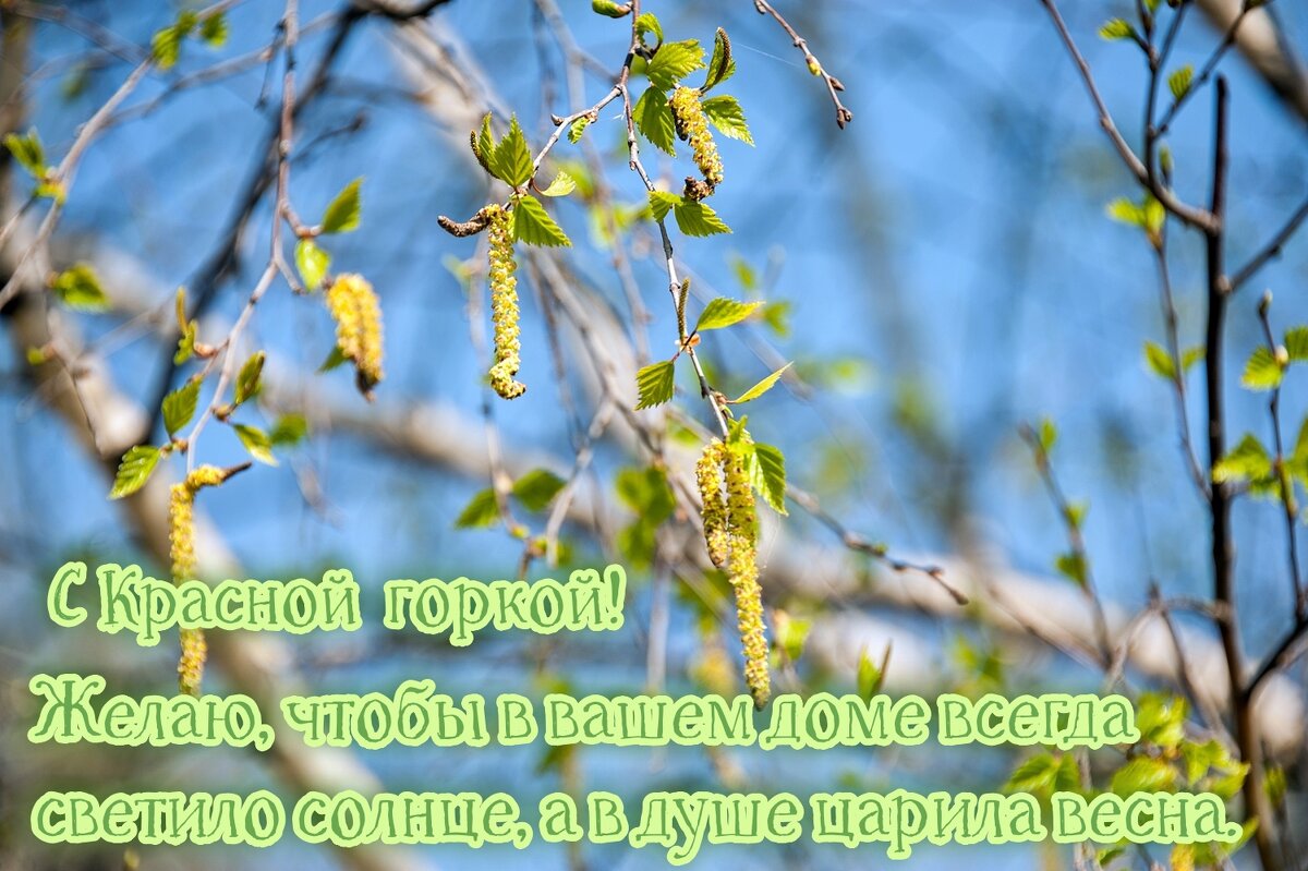 С праздником, друзья! - Валерий Иванович