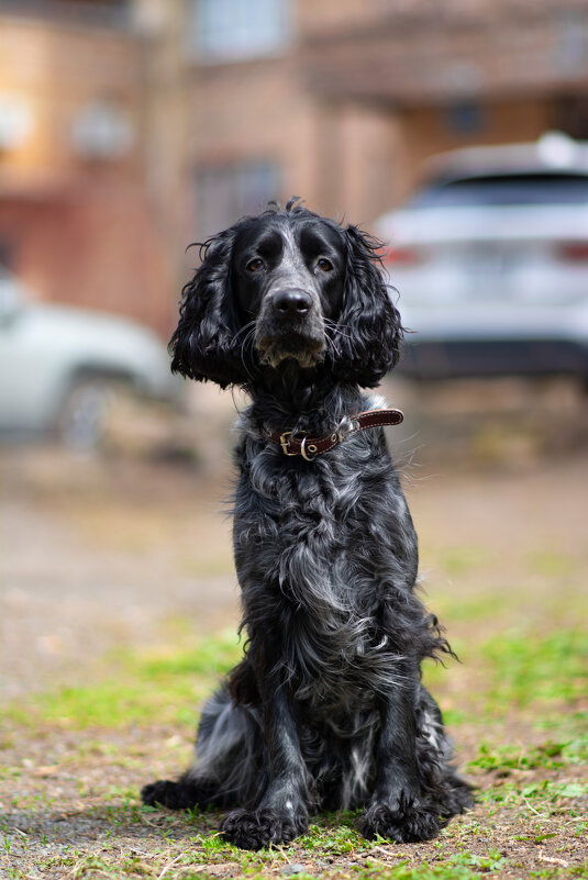 Джек - Вячеслав Дроздов