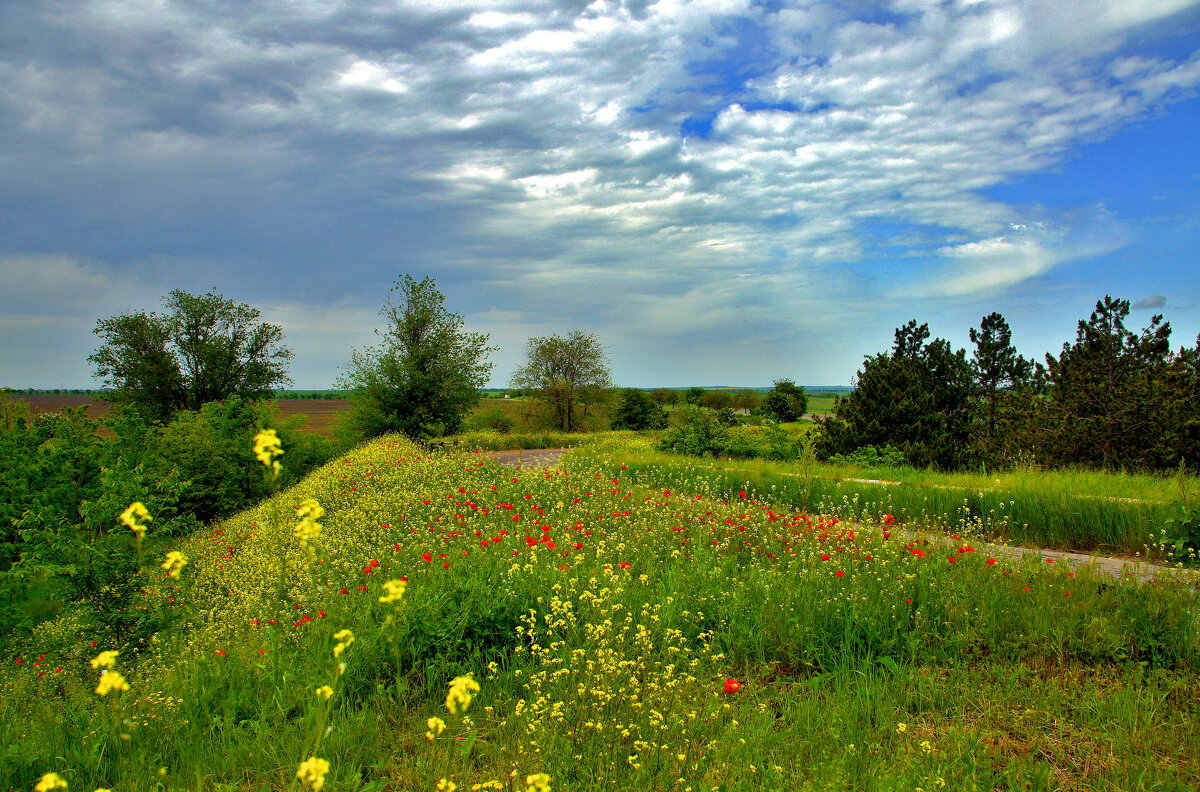 Цветочное настроение - Олег Кабанец
