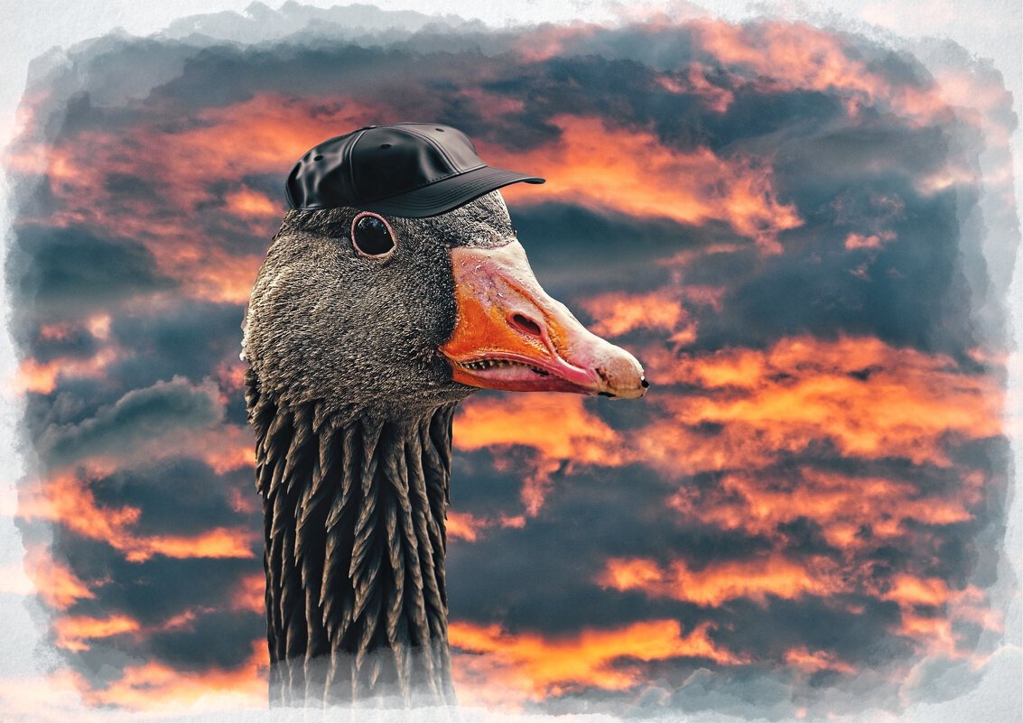 (°-°) - Jakob Dick