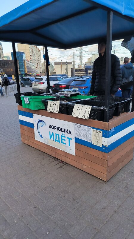 Примета петербургской весны. - Ольга 