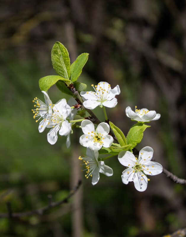 **** - Александр. AVG100 ---