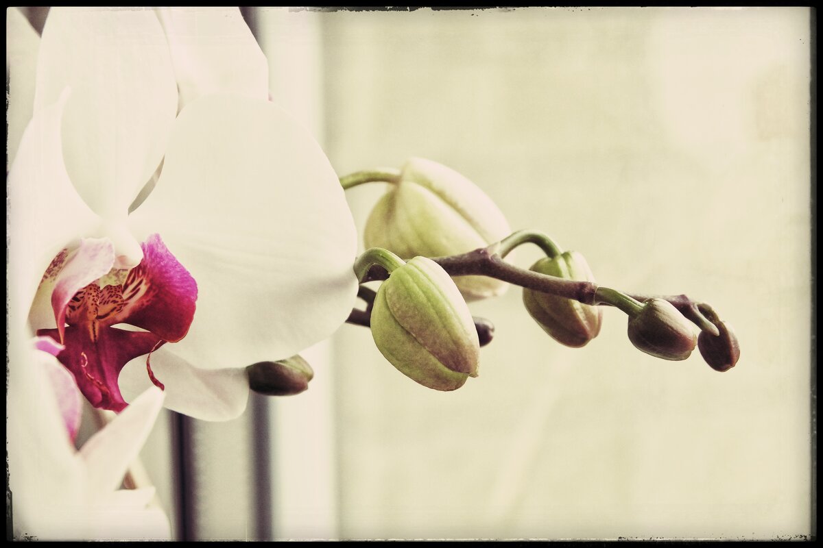 . . . - Руслан 