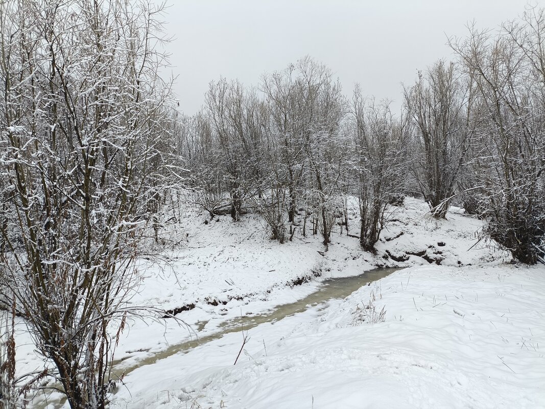 Снегопад - Anna Ivanova