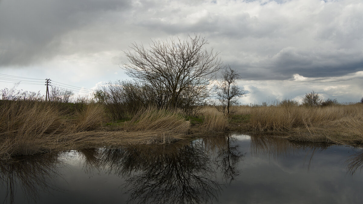 *** - Александр Бекетов