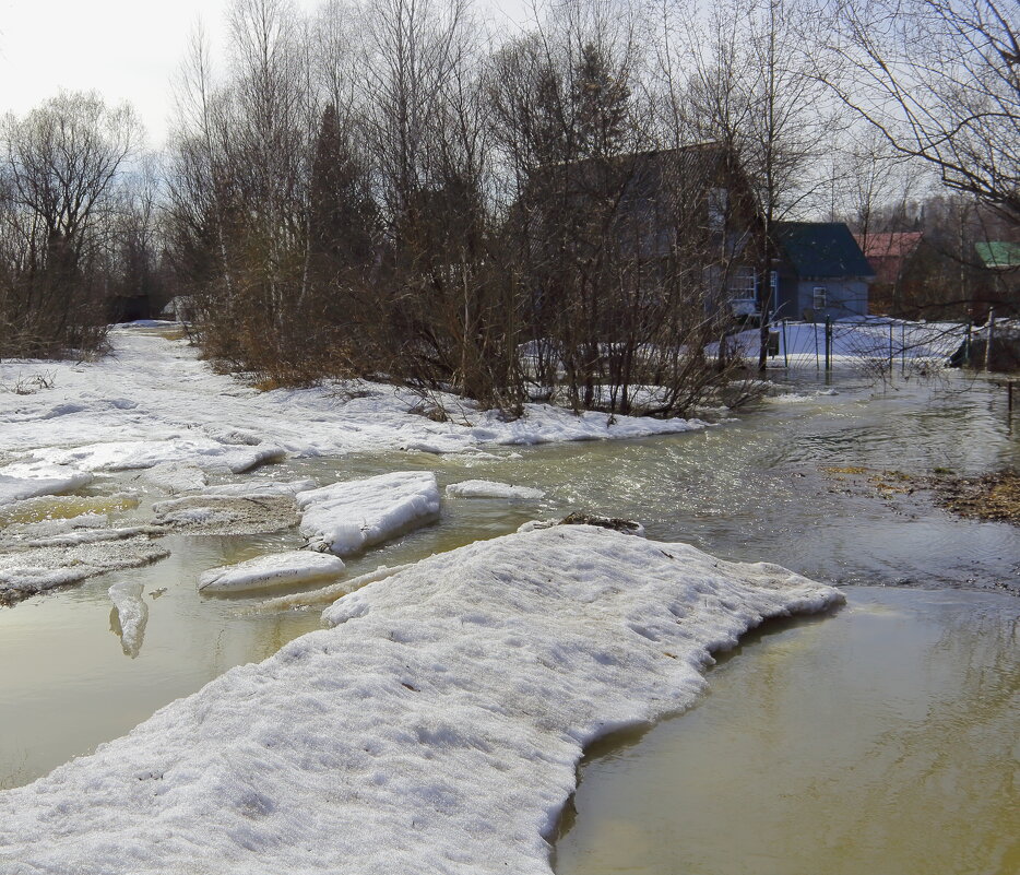 Река вышла из берегов - Нина северянка