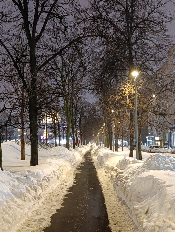 Долгая прогулка. - Alexandr Gunin