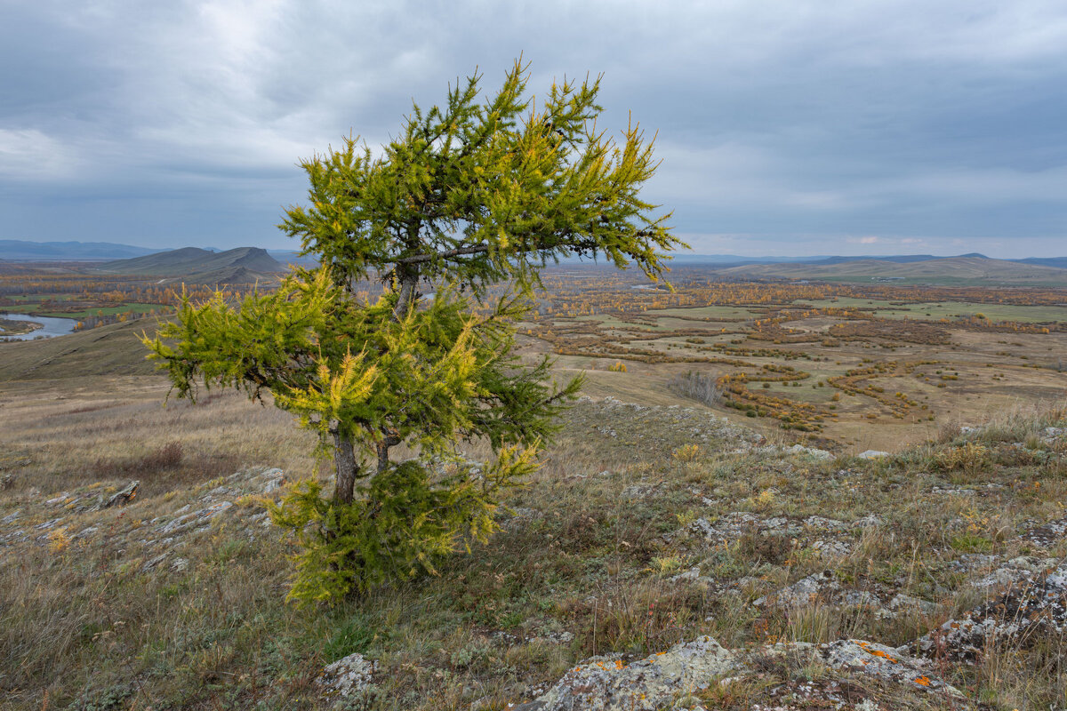 Однажды осенью - Сергей Герасимов