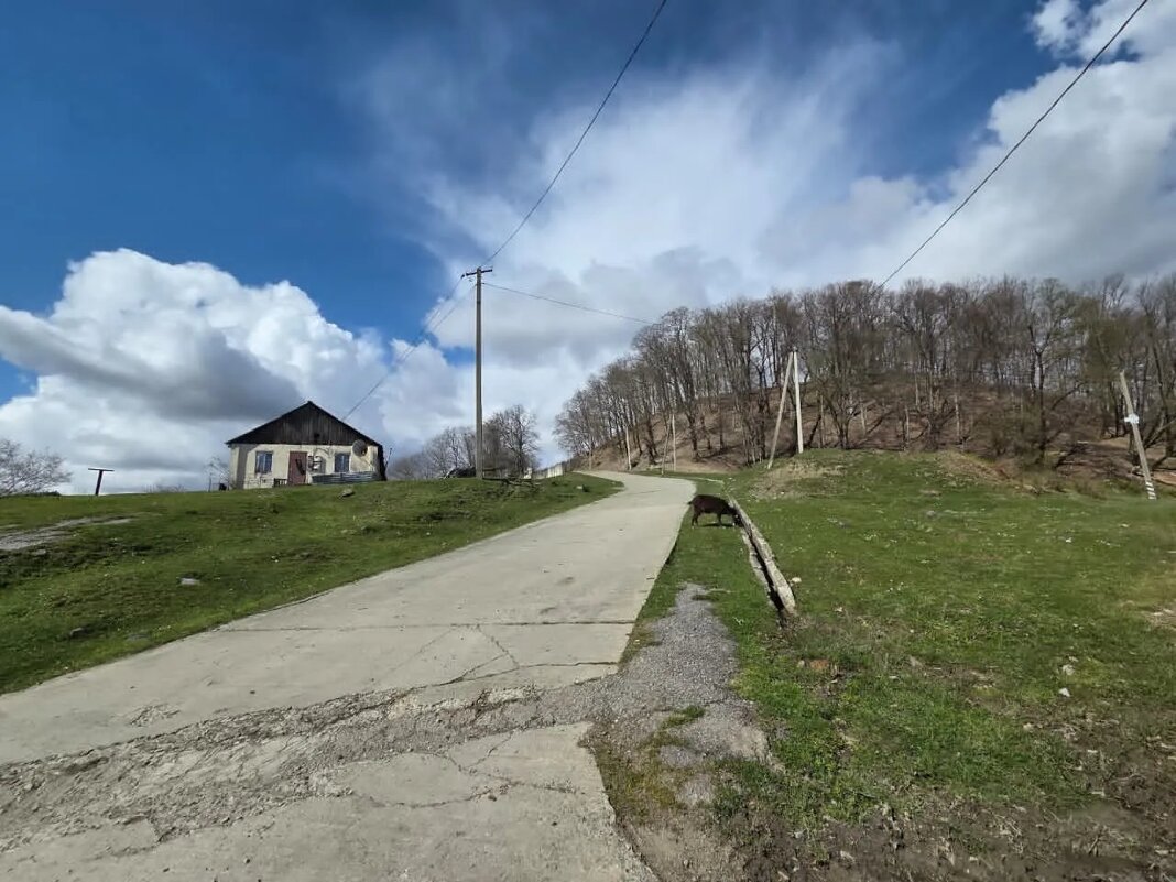 Дорога на Калиновое  озеро - Tata Wolf