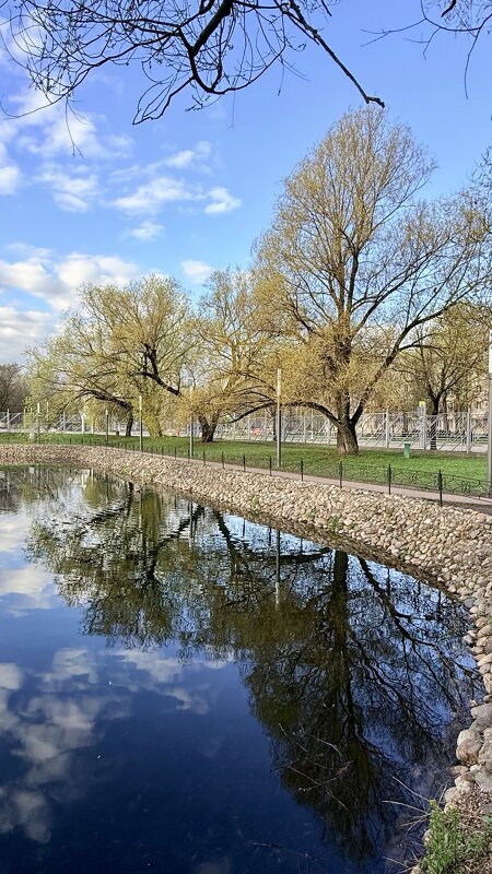 «Весна в городе. Апрель’26» - Арина Невская