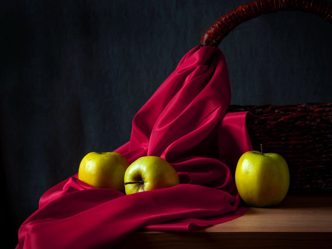 ... - Елена Пономарева