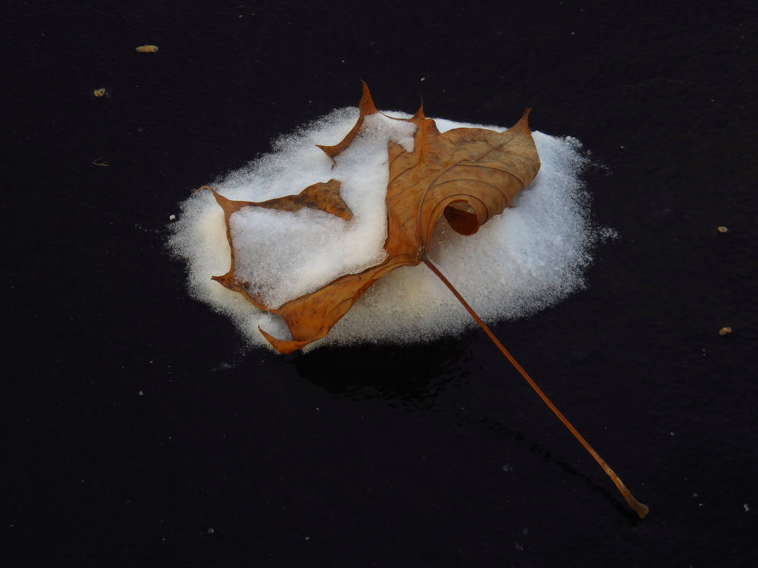 Воспоминание - Андрей Лукьянов