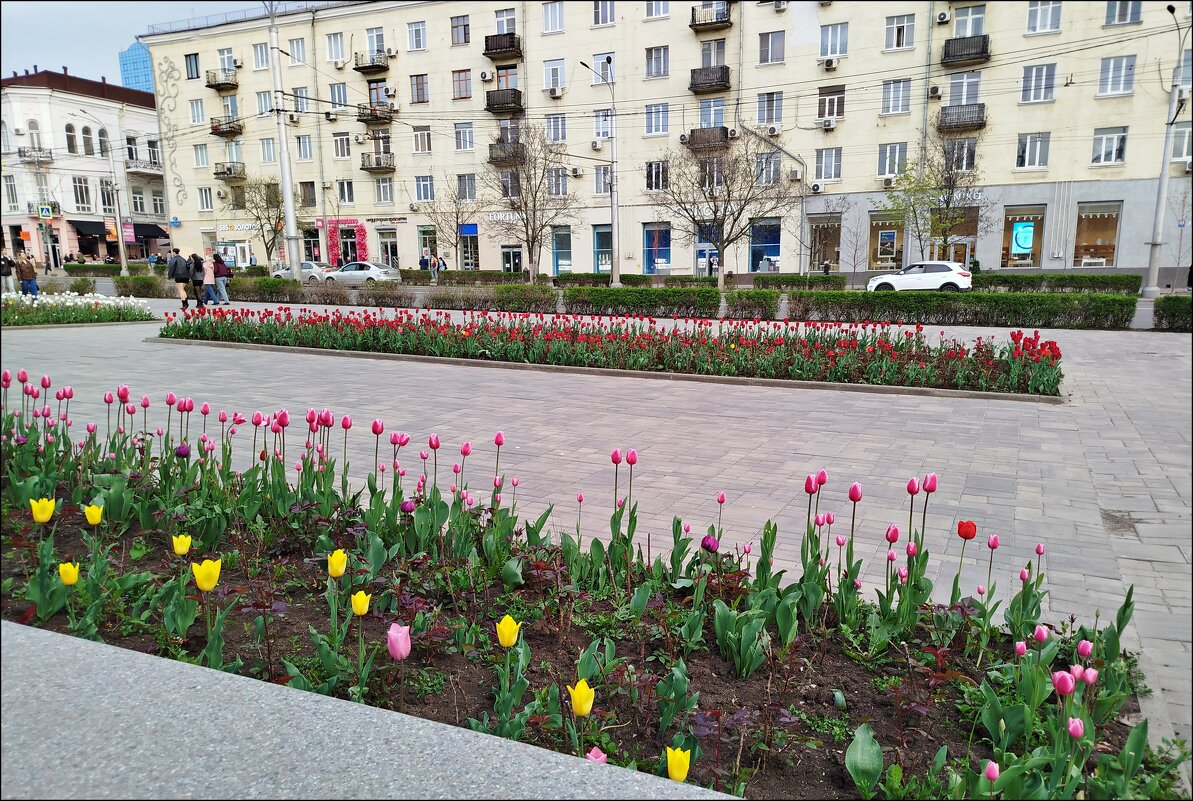 Весенняя улица! - Надежда 