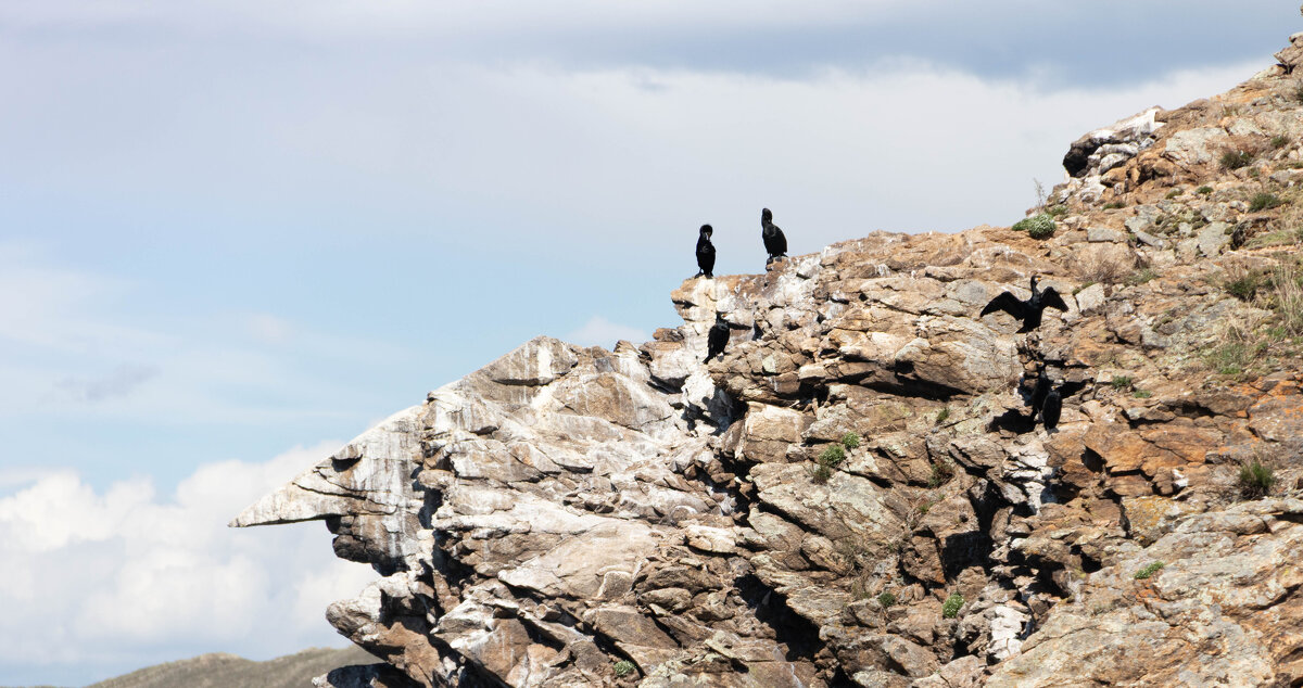 Байкальские зарисовки - Любовь Сахарова