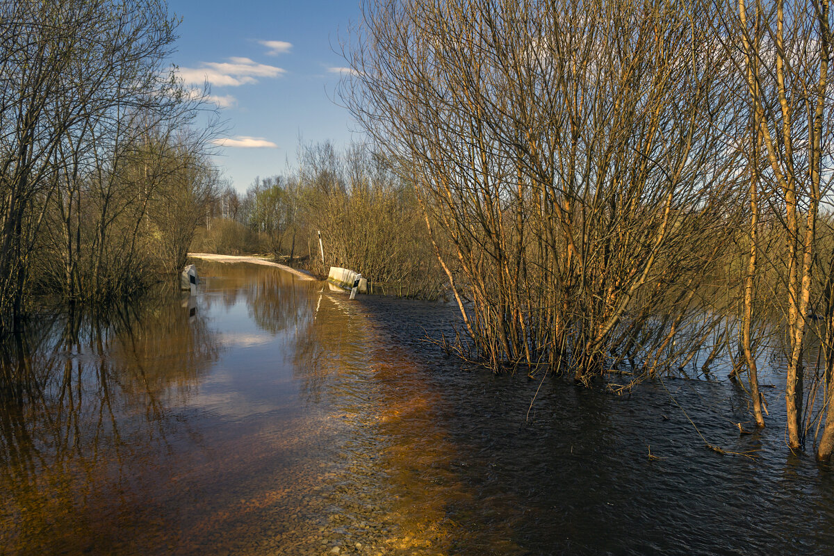 Вода поднялась и переливает через дорогу - Сергей Цветков