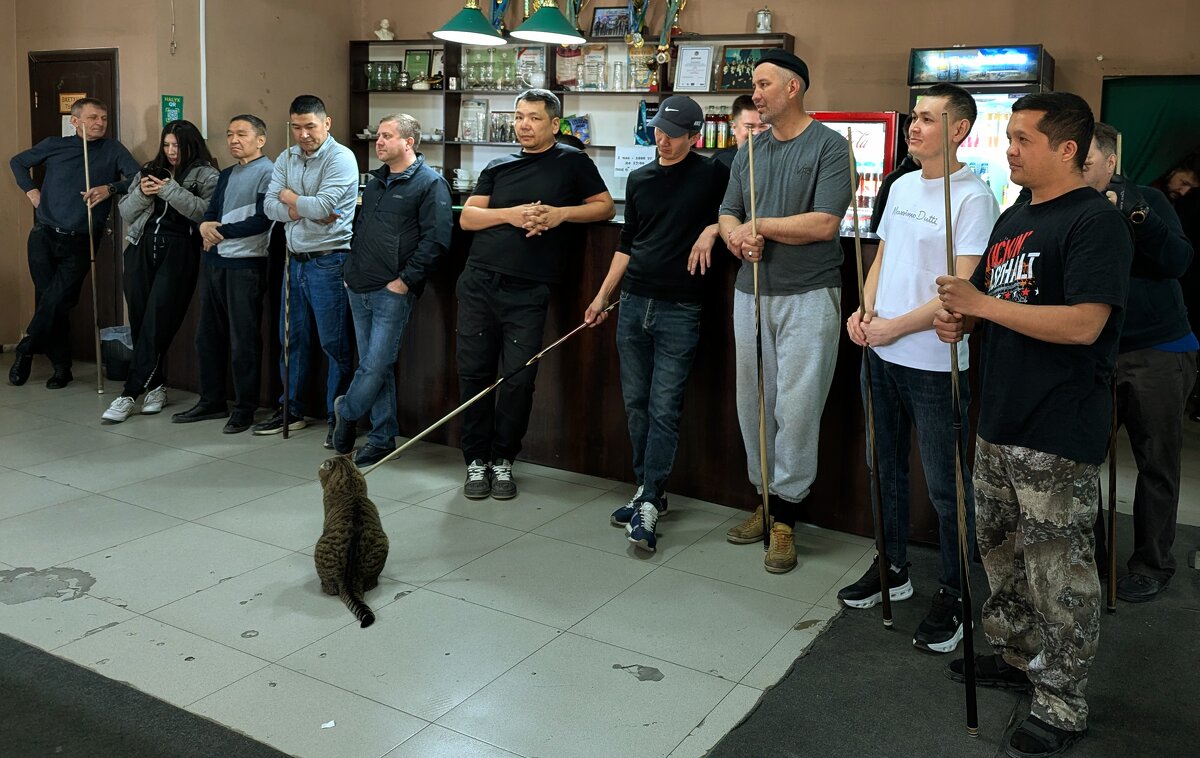 Играем - Андрей Хлопонин