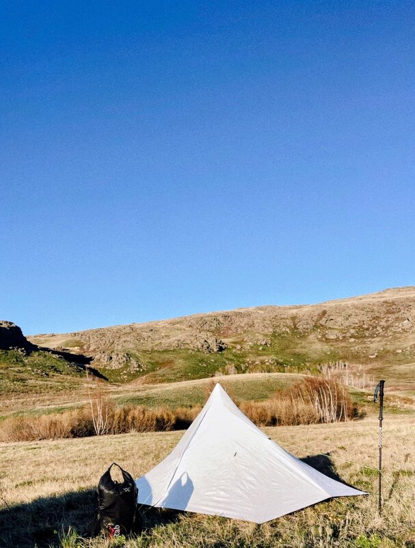 Наша жизнь - Георгиевич 