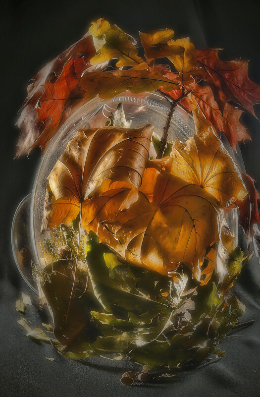 Вспомнил осень. - Владимир Владимир