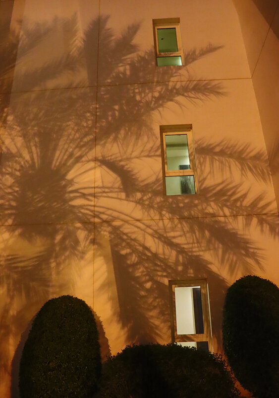 Тени, пальмы, окна... - Галина Ильясова