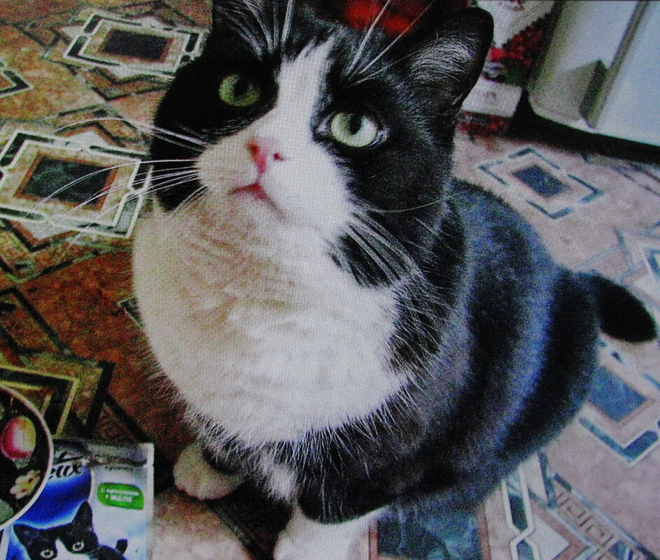 Я есть хочу - Людмила Смородинская