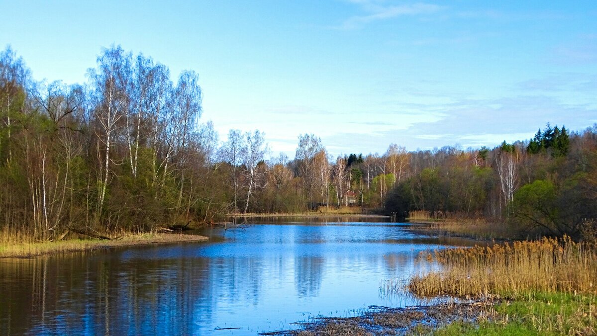Весна в конце апреля. - Милешкин Владимир Алексеевич 