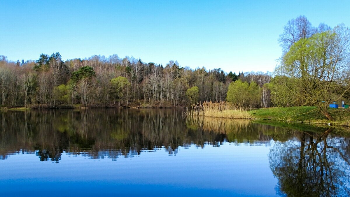 Весенний пейзаж с озером. - Милешкин Владимир Алексеевич 