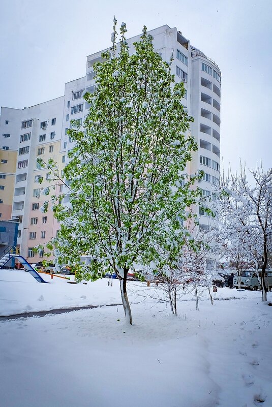 19 Апреля 2017 года город Белгород ... - Ravile 