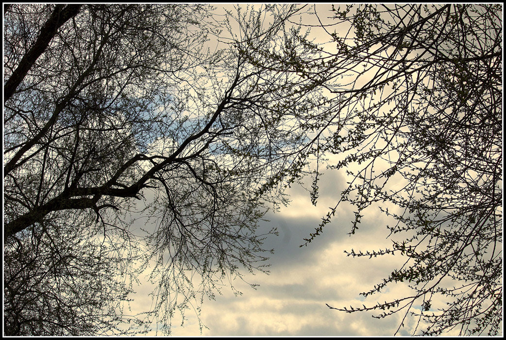 Прохладный апрель - Aleksandr Gal