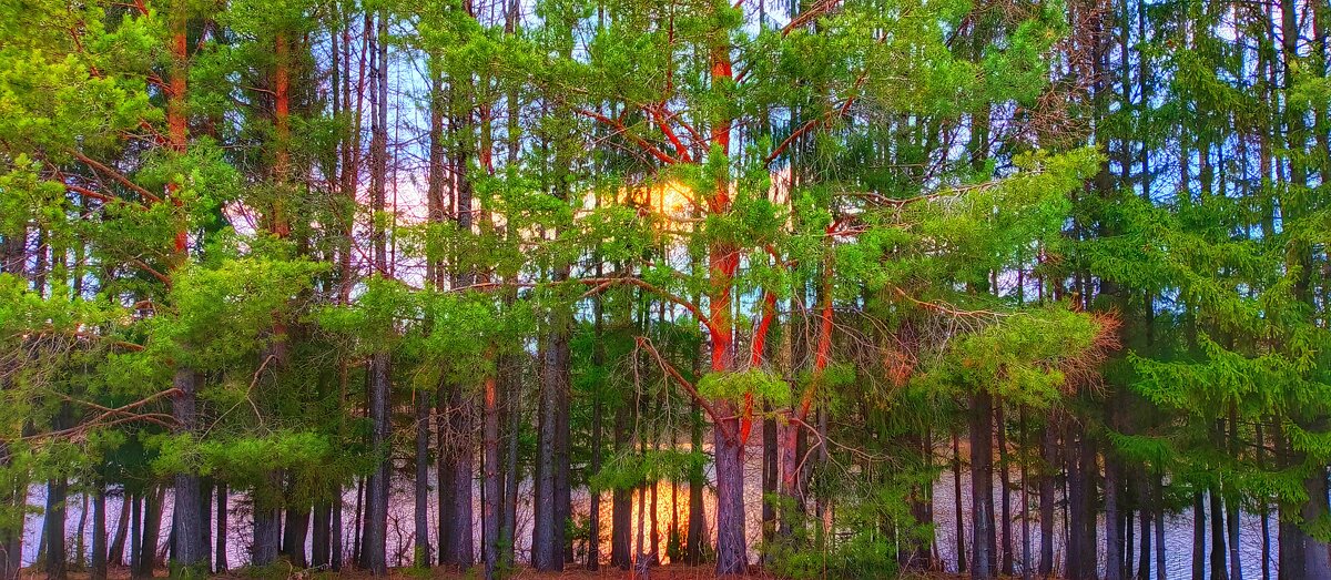 Краски весеннего пейзажа - Леонид Абросимов