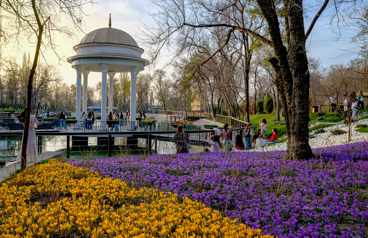 Весенние прогулки - Сергей Мурзин
