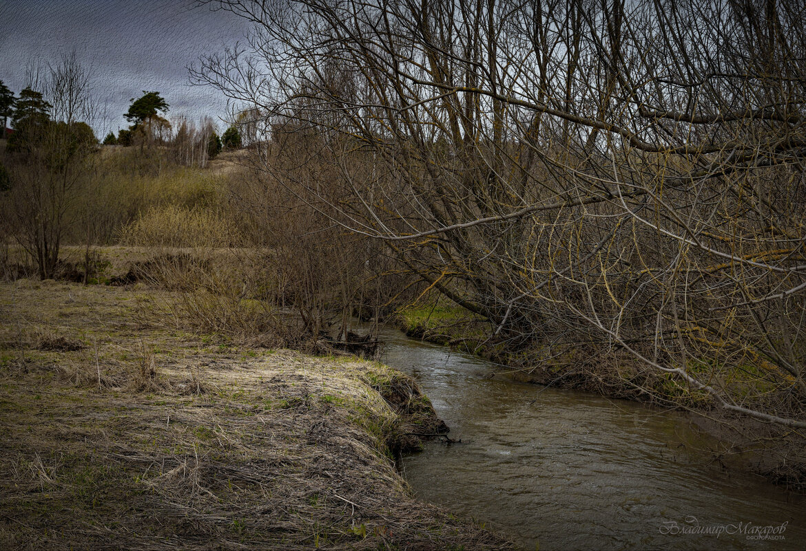 "Почки на ветвях в ожидании. К похолоданию"© - Владимир Макаров