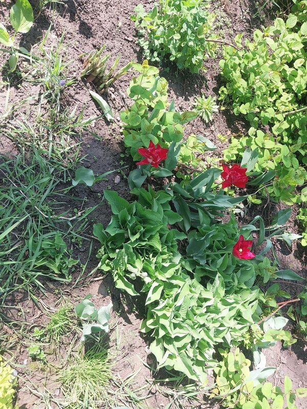 Almaty. - Murat Bukaev 