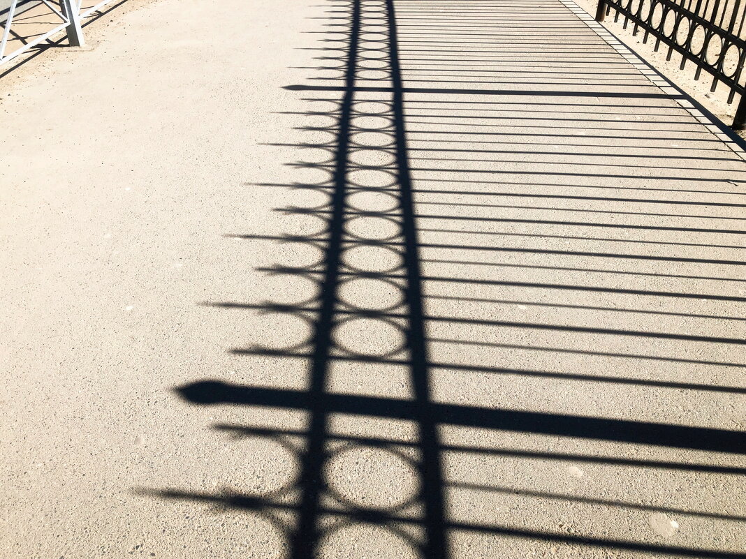 Фотография - Денис Безногов